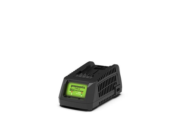 Agrafeuse électrique Greenworks de 24 V, 3/8 po avec batterie et chargeur  3402602