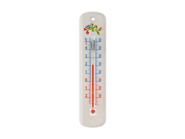 Thermomètre parlant intérieur extérieur et cuisson MyDegrees pour aveugle  ou malvoyant