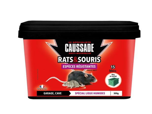 500 grammes de Ratimor® Pâtes Power Sac d'appât Poison pour rats Poison  pour souris