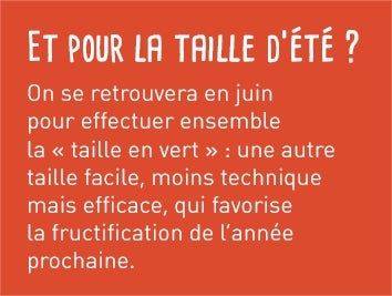 Et pour la taille d'été