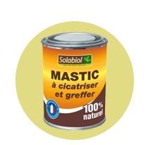 MASTIC CICATRISANT