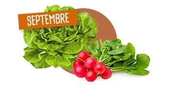 SEPTEMBRE