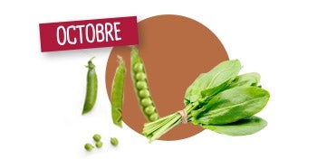 OCTOBRE