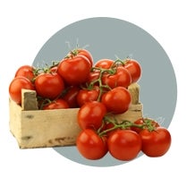 TOMATES